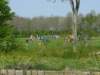 p1030102_small.jpg